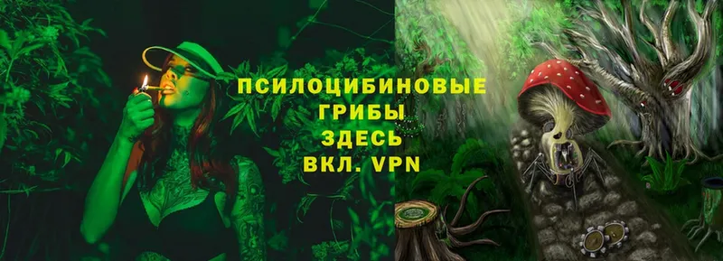 Псилоцибиновые грибы MAGIC MUSHROOMS  цены   mega ONION  Ряжск 